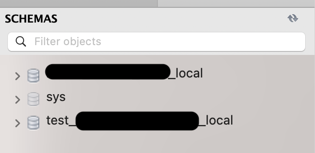 pytest서 생성된 test_*****_local schema